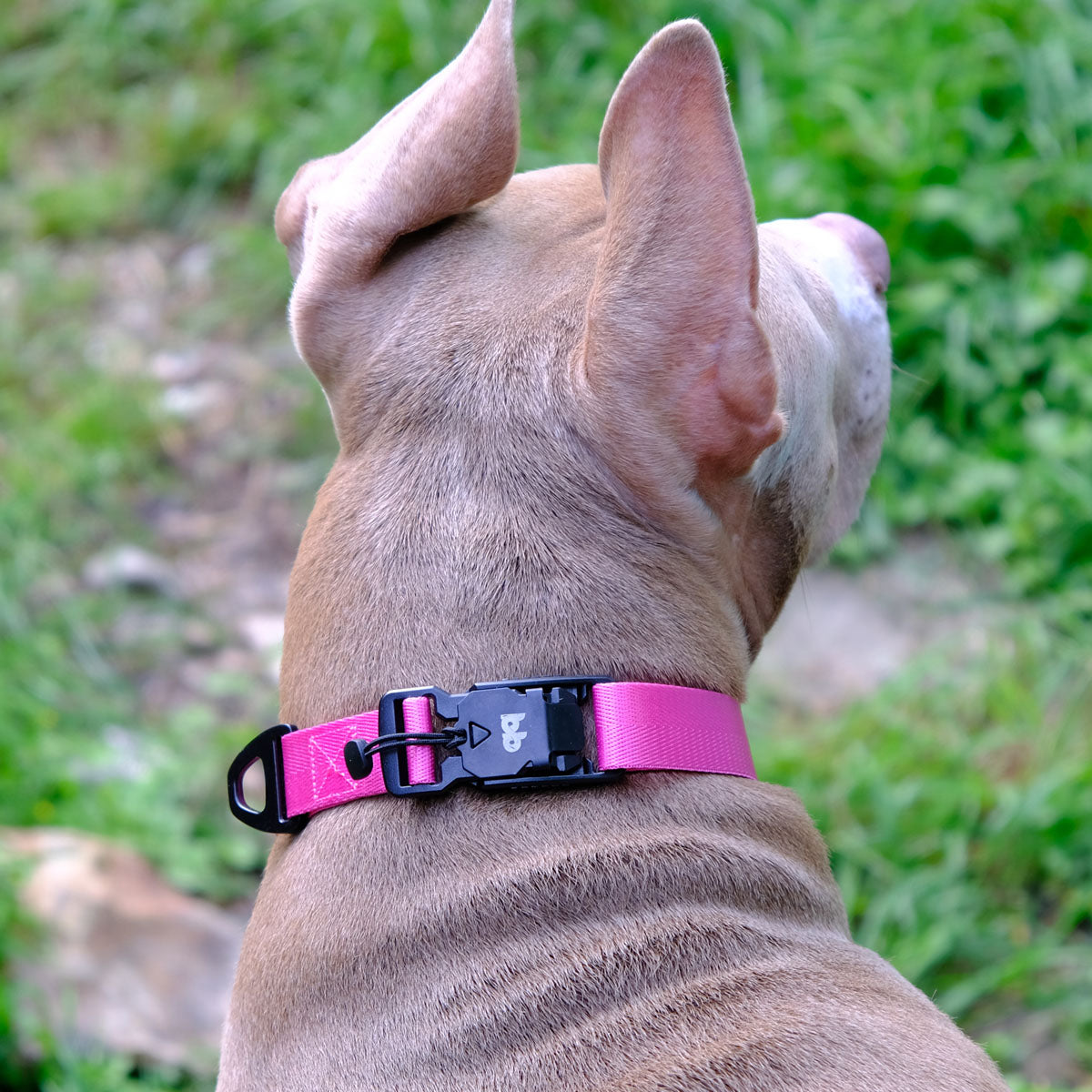 Battle Buddies Leash & Collar Set